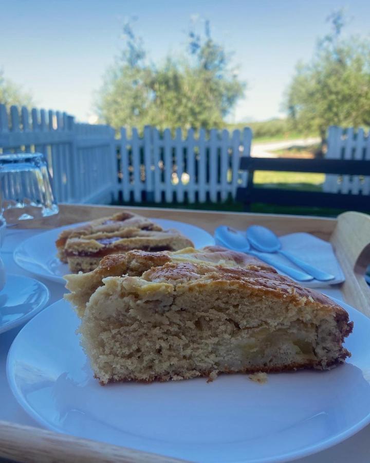 Olea B&B Montecosaro  Dış mekan fotoğraf