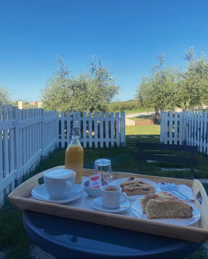Olea B&B Montecosaro  Dış mekan fotoğraf