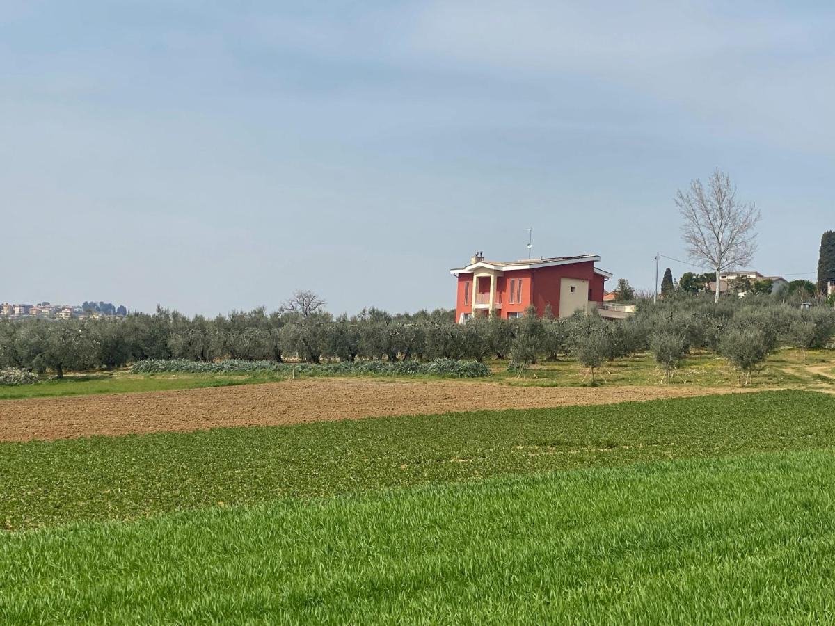 Olea B&B Montecosaro  Dış mekan fotoğraf