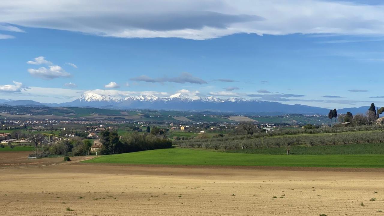 Olea B&B Montecosaro  Dış mekan fotoğraf