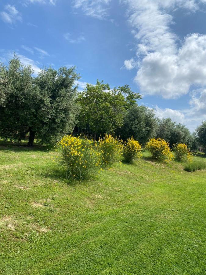 Olea B&B Montecosaro  Dış mekan fotoğraf